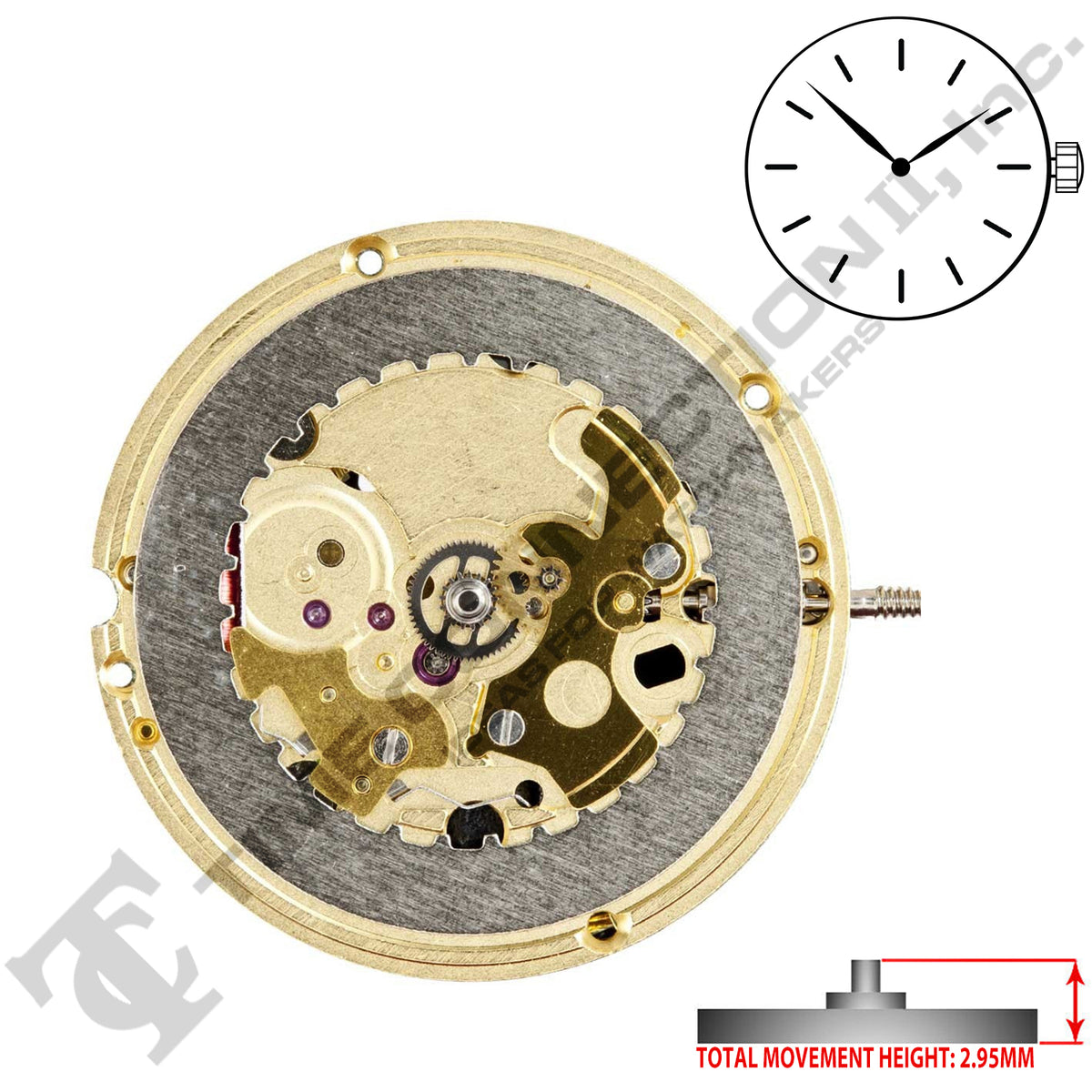 ETA 256.031 2 Hands Swiss Made Quartz Movement Ht. 2.95MM – Time