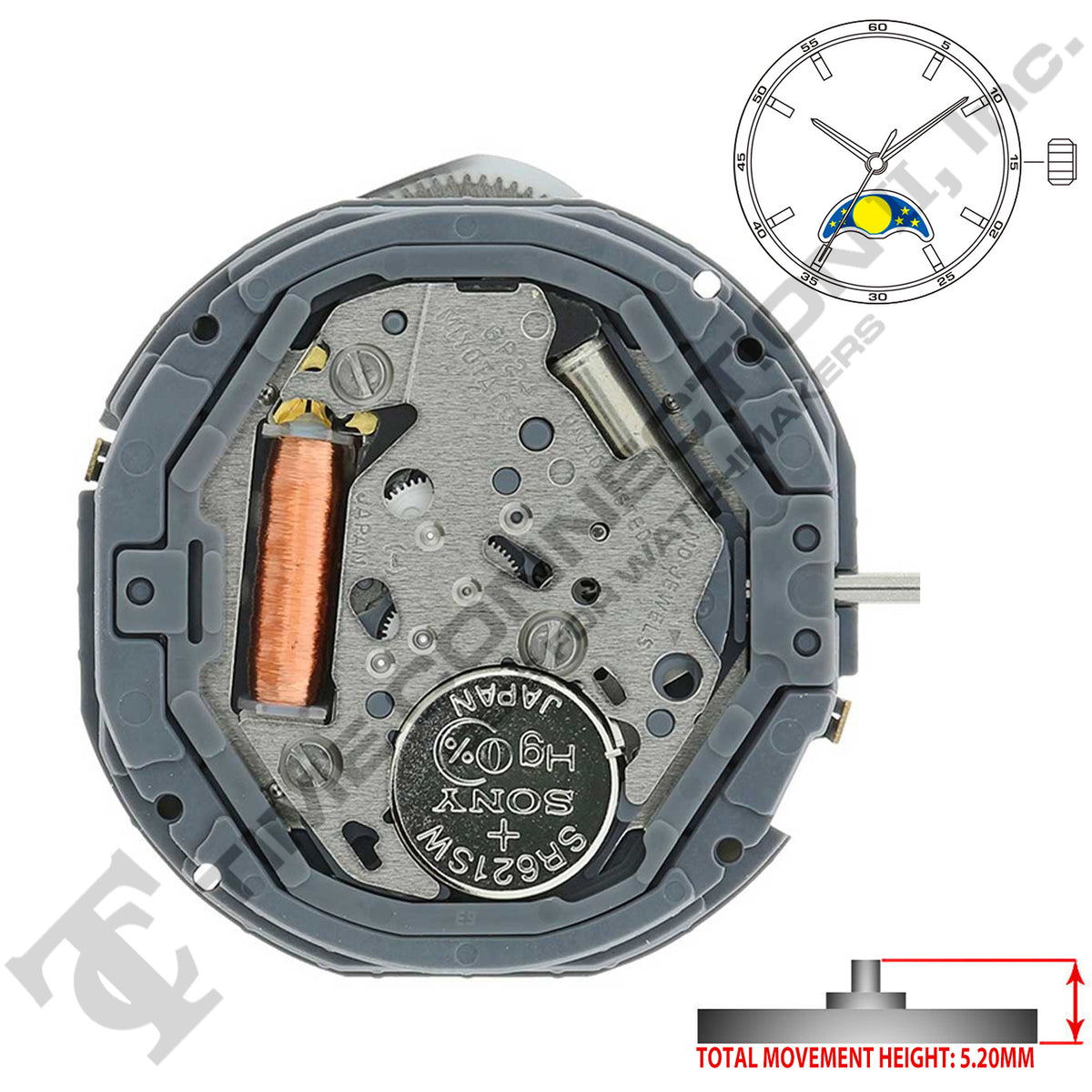 Miyota/Citizen LTD 6P24 3 Hands Japan Quartz Movement Ht. – Time