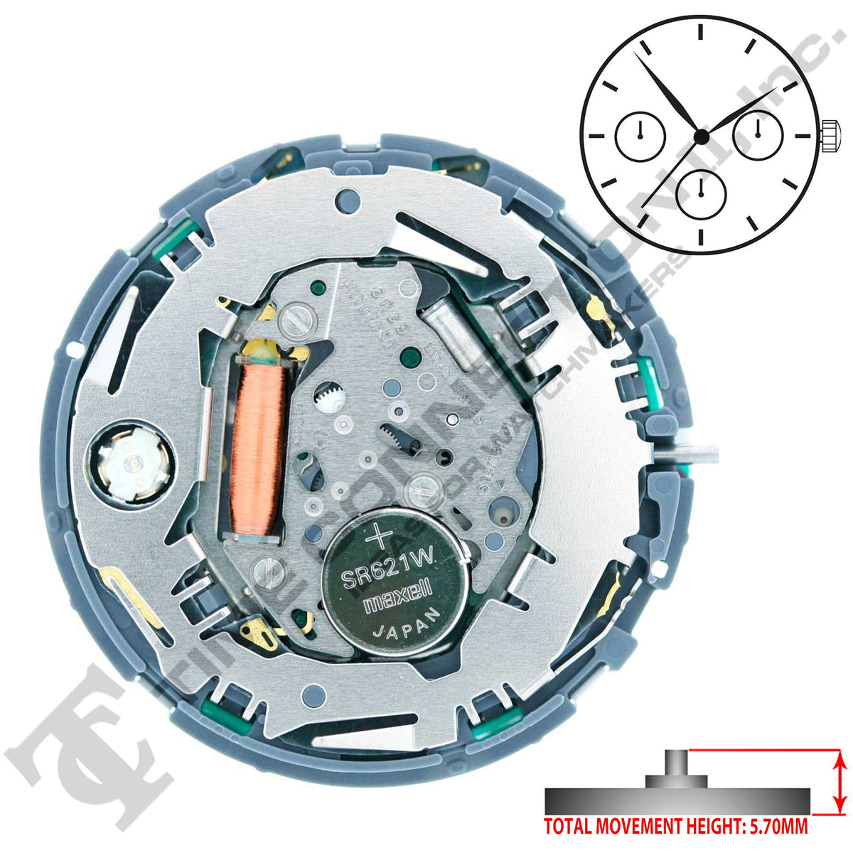 Miyota/Citizen LTD 6R29 Japan Quartz Movement Ht. 5.7MM – Time