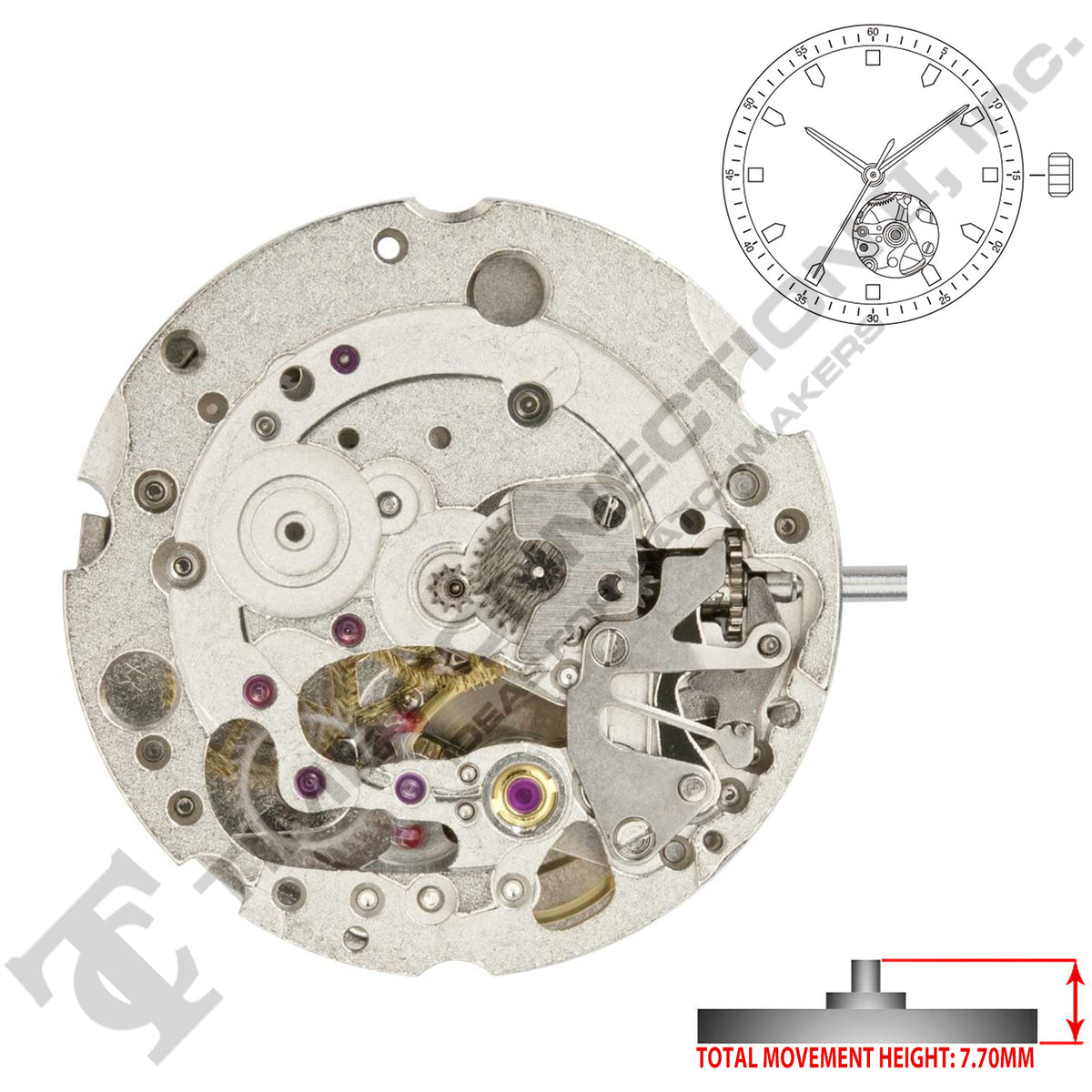 Miyota/Citizen LTD 6T28 Japan Automatic Movement Ht. – Time
