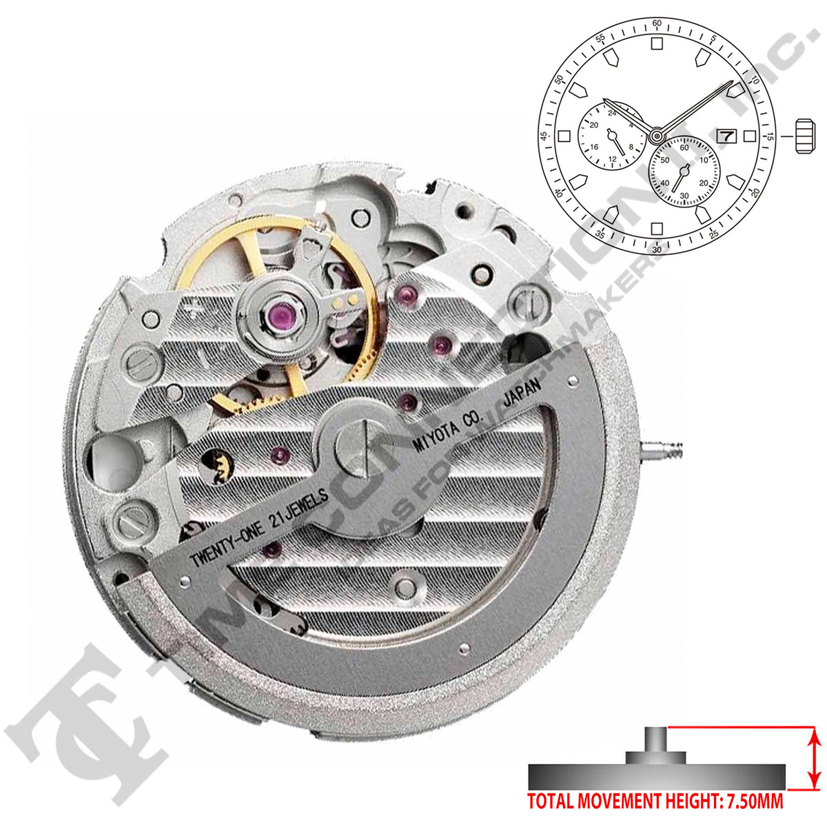 Miyota/Citizen LTD 8219 Japan Automatic Movement Ht. 7.5MM – Time