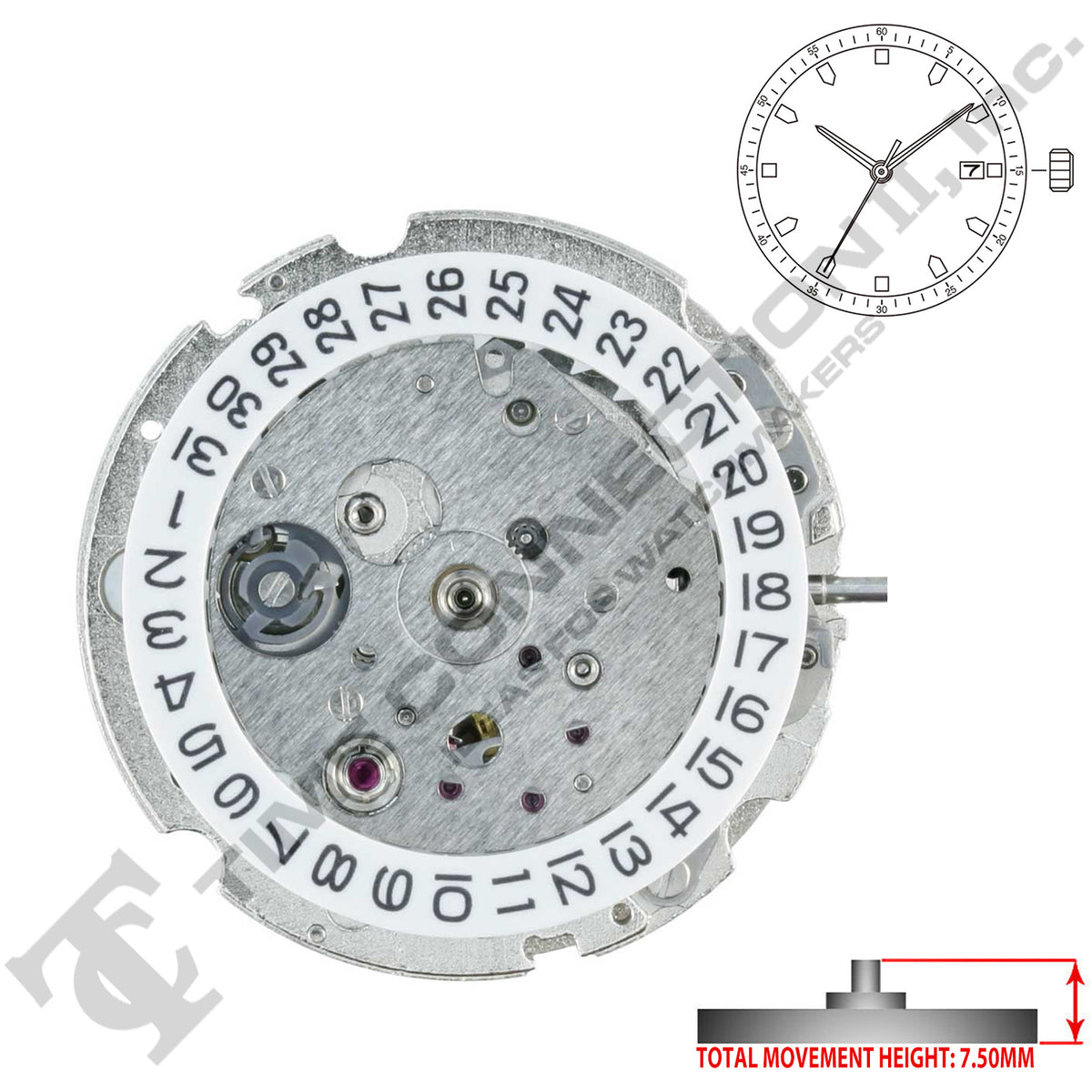 Miyota/Citizen LTD 821A Japan Automatic Movement