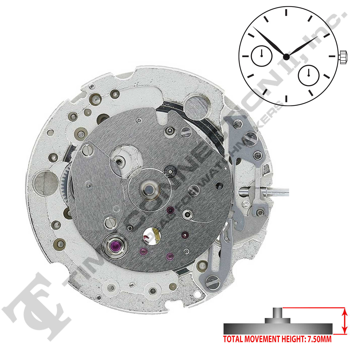 Miyota/Citizen LTD 8247 Japan Automatic Movement Ht. 7.5MM – Time