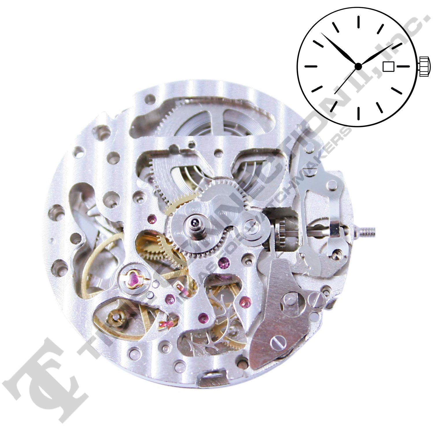 China DG2892-S Automatic Movement