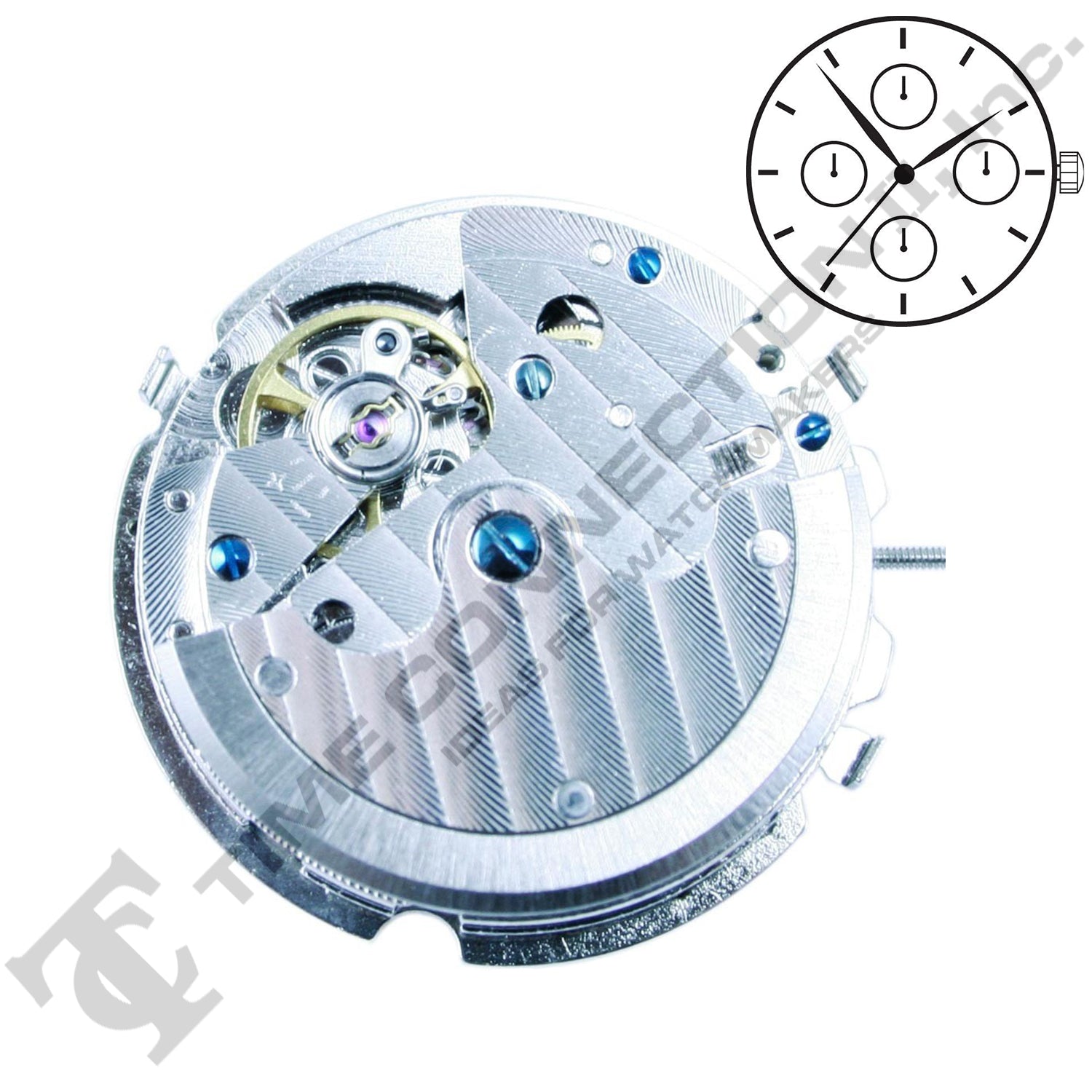 China TY2876 Automatic Movement