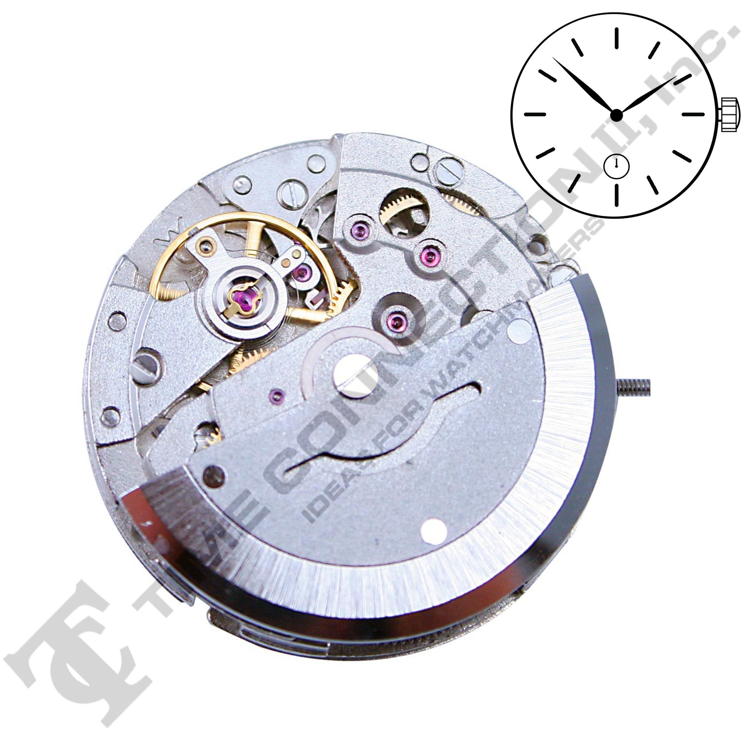 China DG3806 Automatic Movement