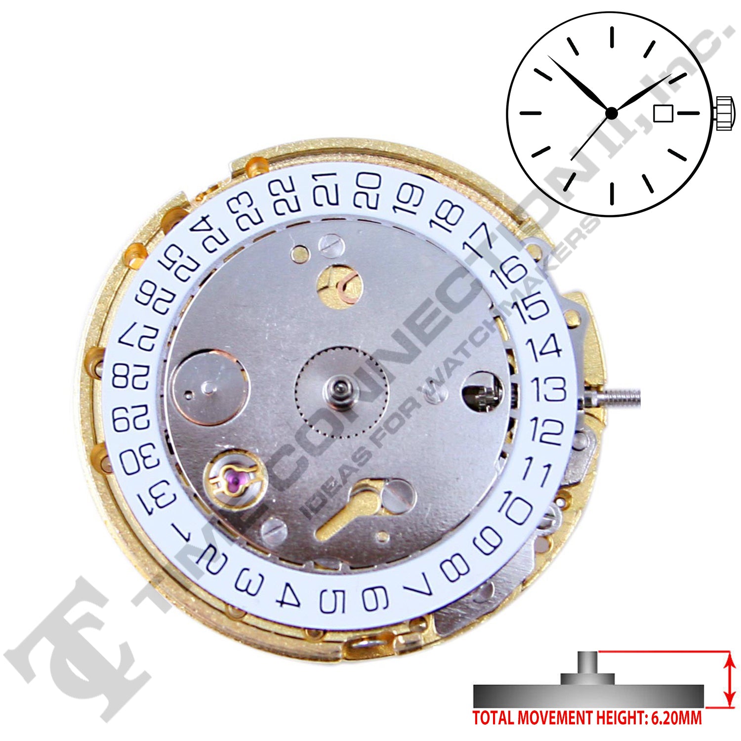 China DG4813 Automatic Movement Ht. 6.20MM