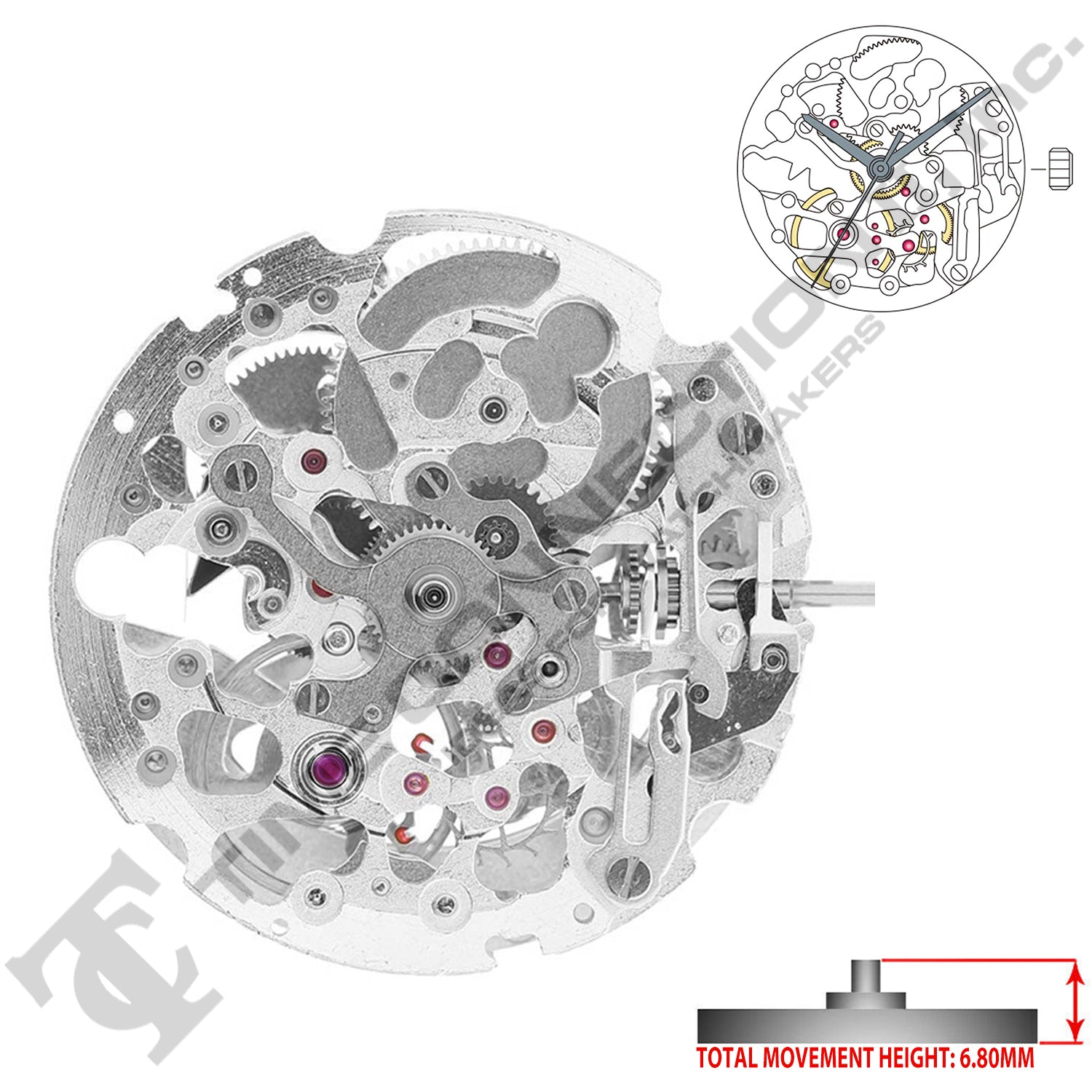 Miyota/Citizen LTD 8N24 Stainless Steel Japan Automatic Movement Ht. 6.8MM