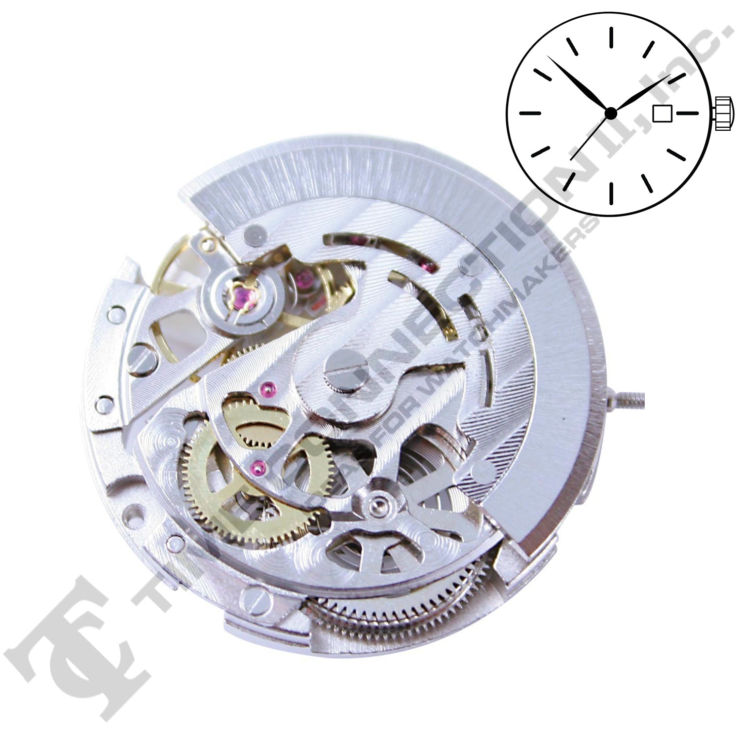 China DG2892-S Automatic Movement