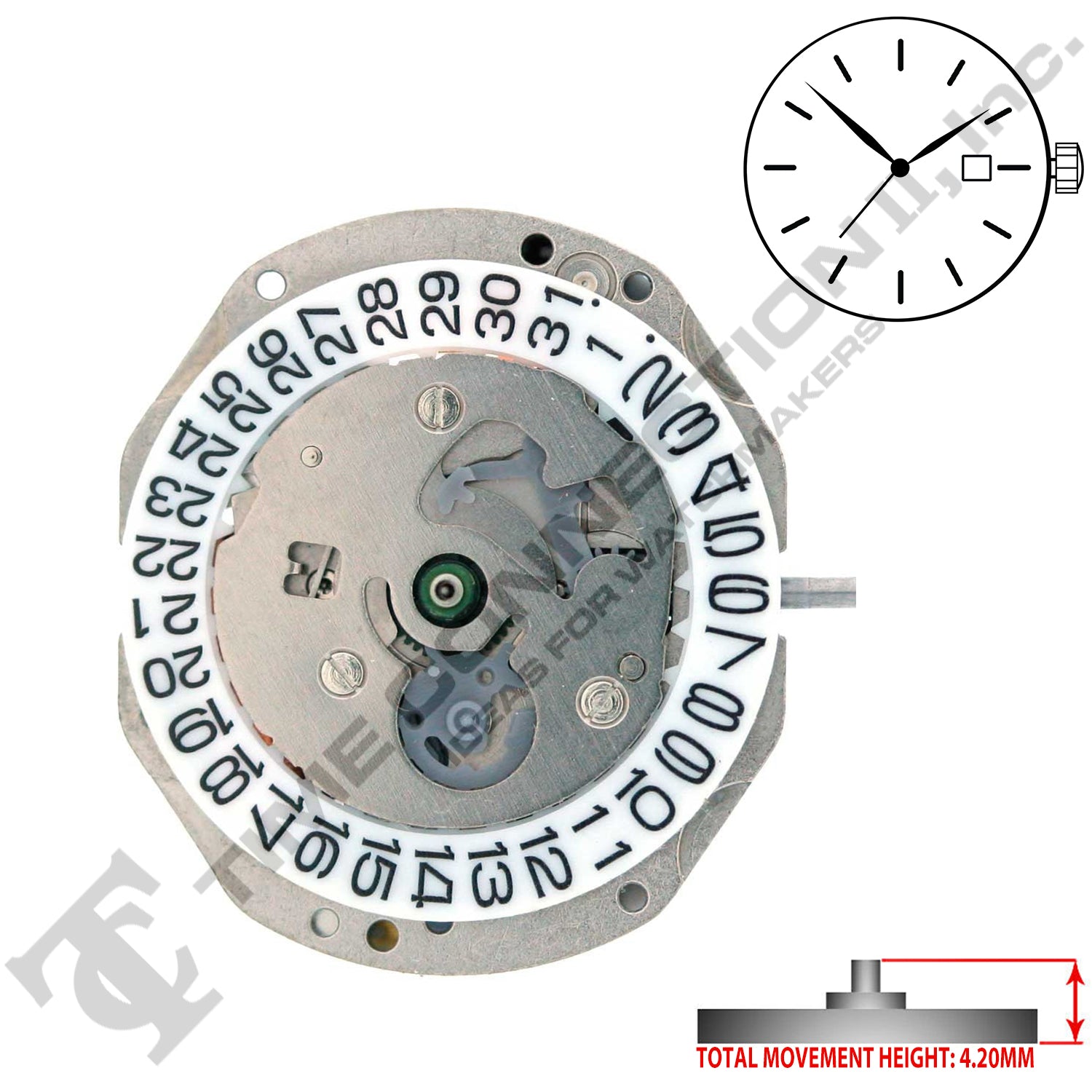 Miyota/Citizen LTD 3T10 Hands Japan Quartz Movement