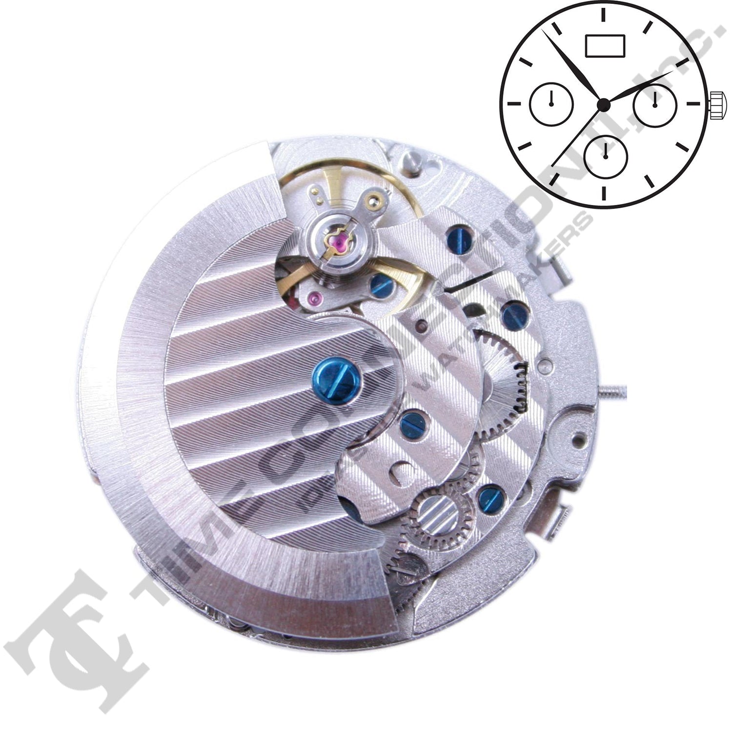 China JHS19 Automatic Movement