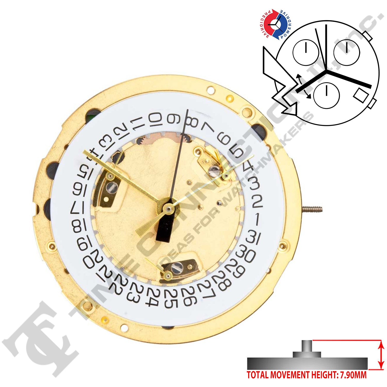 ETA 251.264 4 Hands Swiss Made Quartz Movement Ht. 7.90MM