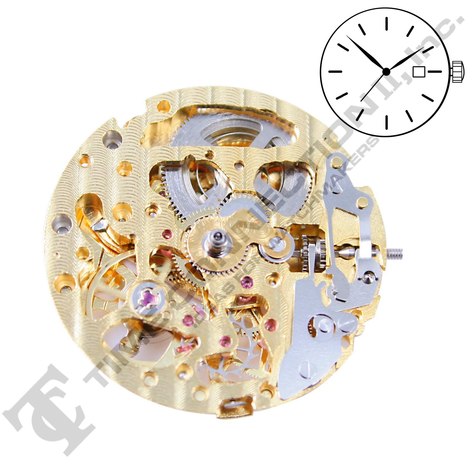 China DG2892-G Automatic Movement