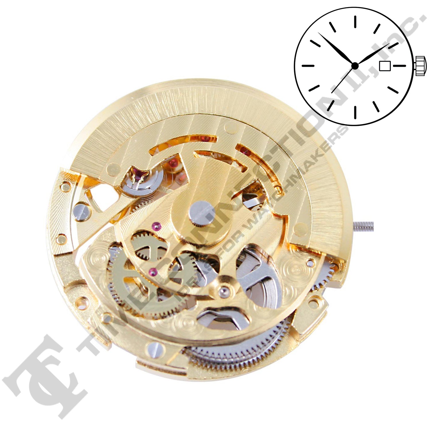 China DG2892-G Automatic Movement