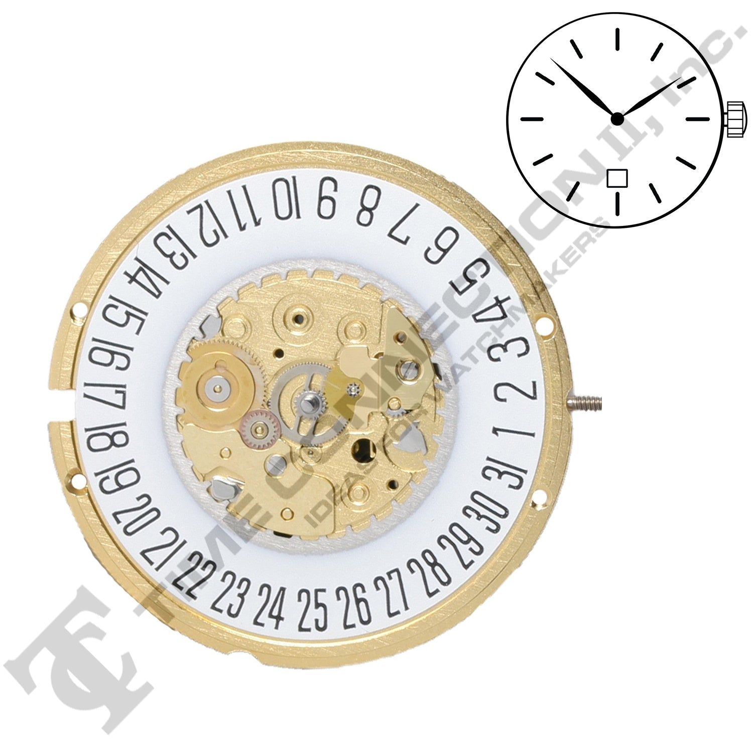 ETA 255.141 2 Hands Swiss Made Quartz Movement Ht.