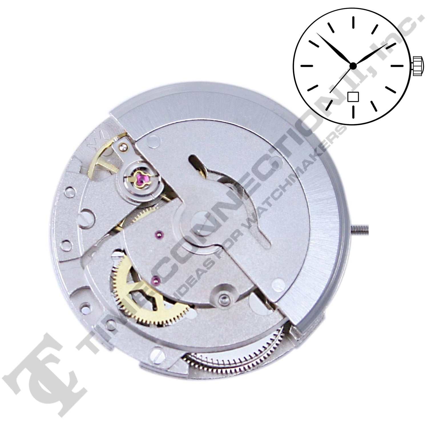 China DG2816-D6 Automatic Movement Ht. 7.50MM