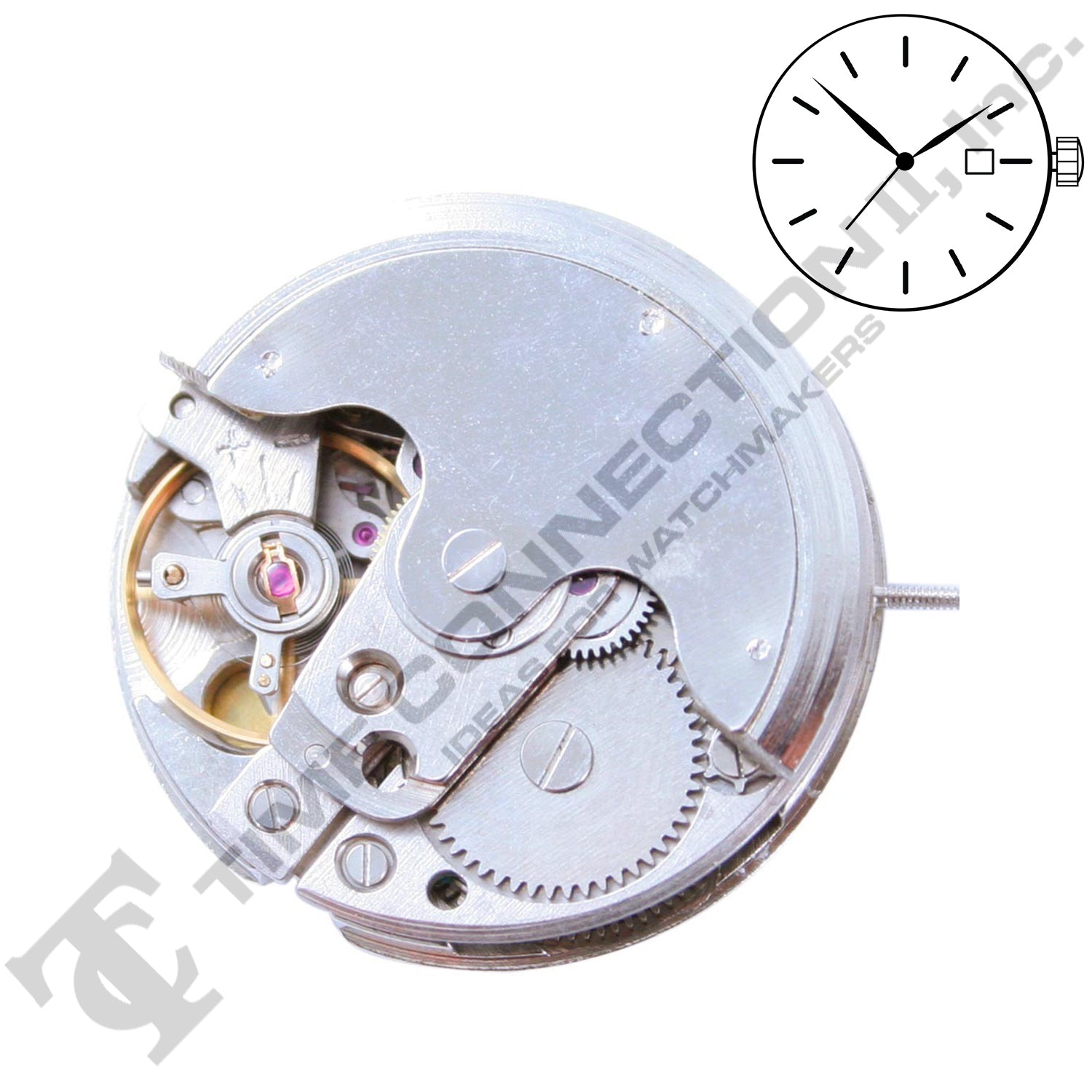 China C13767 Automatic Movement