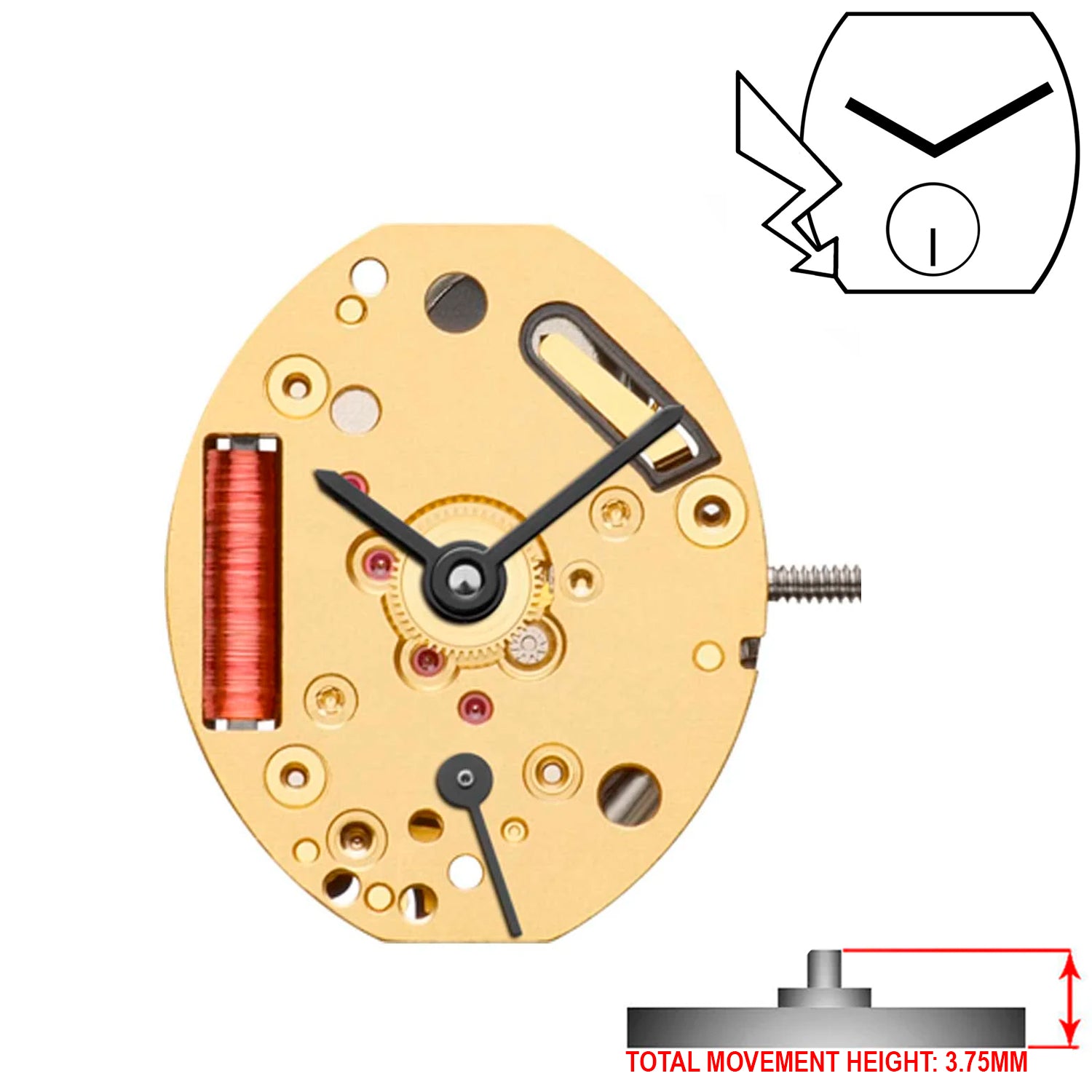 ETA 980.153 2 Hands Swiss Made Quartz Movement (Various Heights)