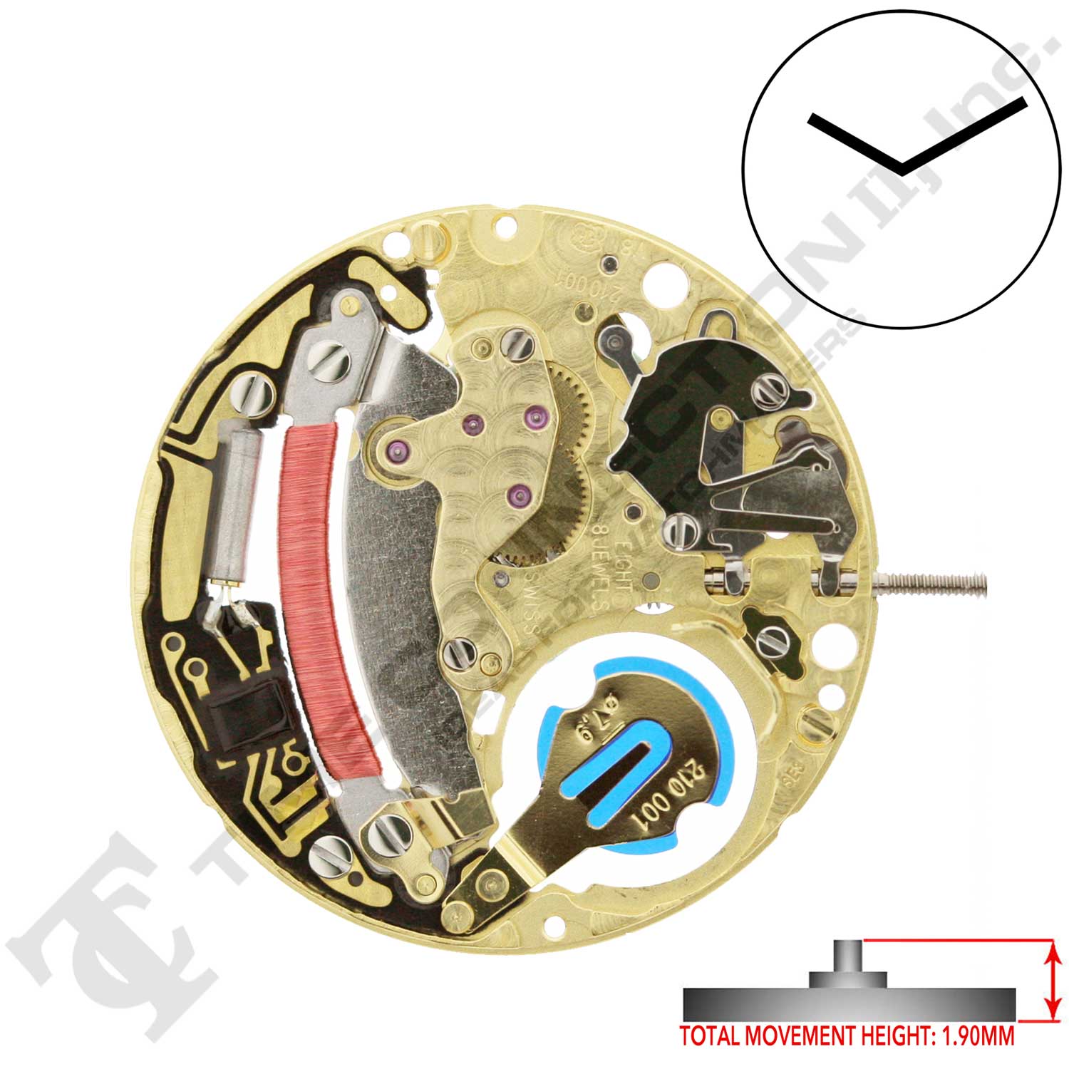 ETA 210.001 Swiss Movement 2 Hands, Overall Height 1.9mm. Super Thin. Perlage finish.